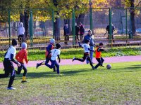игры 10.05